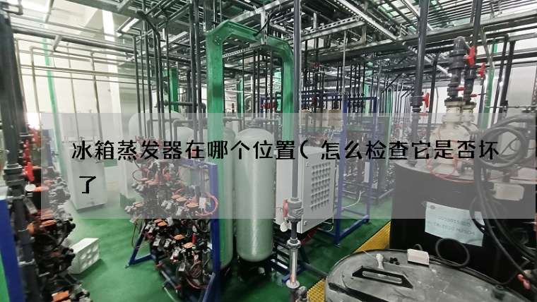 冰箱蒸发器在哪个位置(怎么检查它是否坏了) 冰箱蒸发器在哪个位置(怎么检查它是否坏了)