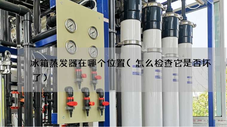 冰箱蒸发器在哪个位置(怎么检查它是否坏了)