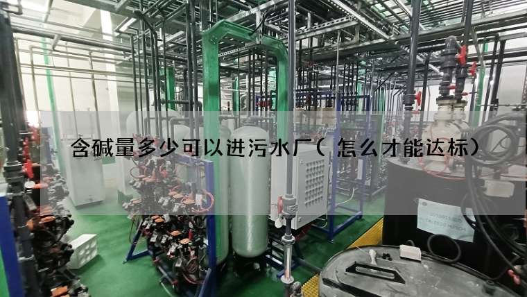 含碱量多少可以进污水厂(怎么才能达标)