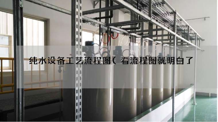 纯水设备工艺流程图(看流程图就明白了) 纯水设备工艺流程图(看流程图就明白了)