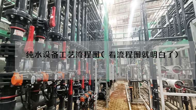 纯水设备工艺流程图(看流程图就明白了)