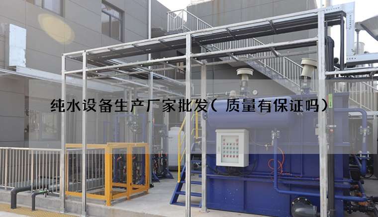 纯水设备生产厂家批发(质量有保证吗)