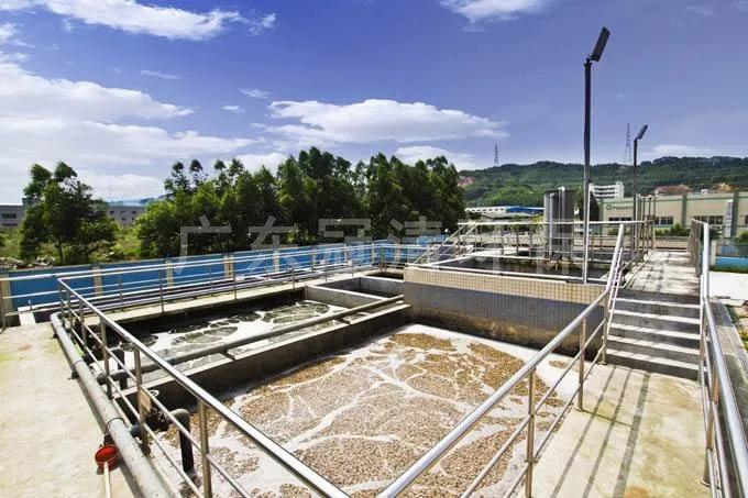 焦化废水生物强化处理工艺
